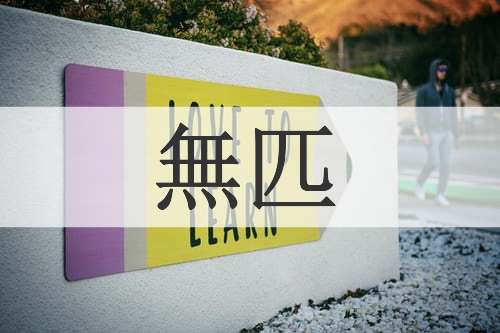 無匹