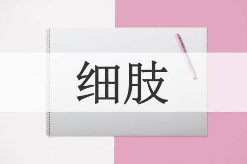 细肢