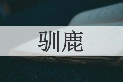 驯鹿
