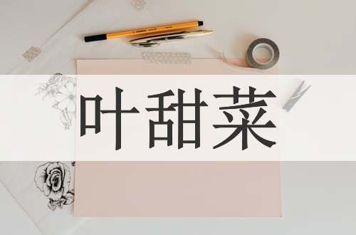 叶甜菜