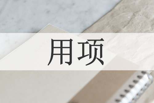 用项