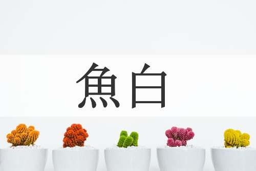 魚白