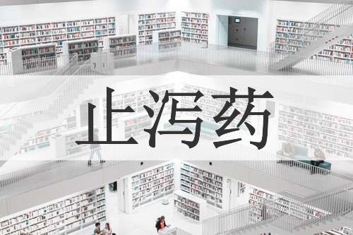 止泻药