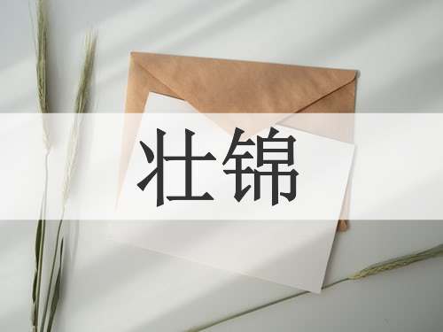 壮锦