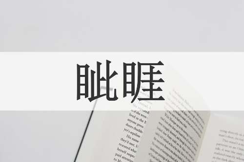 眦睚