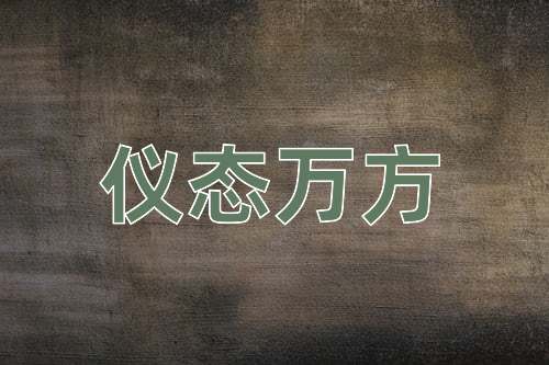 成语仪态万方