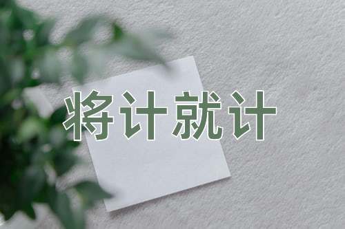 成语将计就计