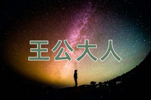 成语王公大人