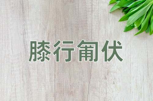 成语膝行匍伏