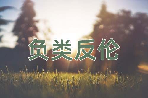 成语负类反伦