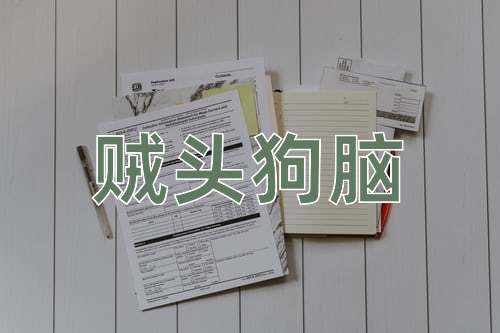 成语贼头狗脑
