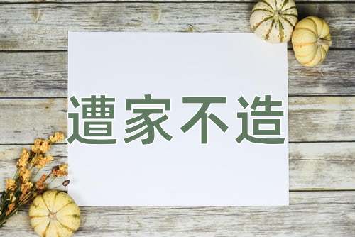 成语遭家不造