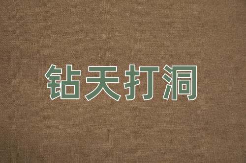 成语钻天打洞
