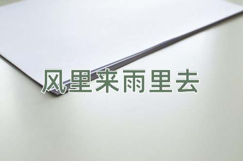 成语风里来雨里去