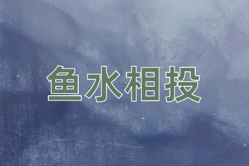 成语鱼水相投